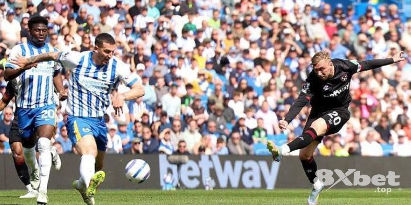 8xbet - hi88 khuyến mãi hôm nay